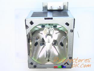 Original lamp  PROXIMA DP8300
